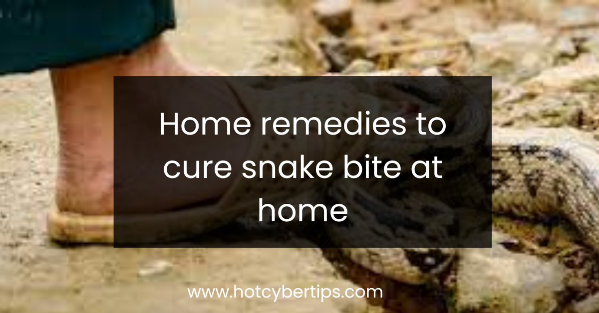 You are currently viewing Home remedies to cure snake bite at home