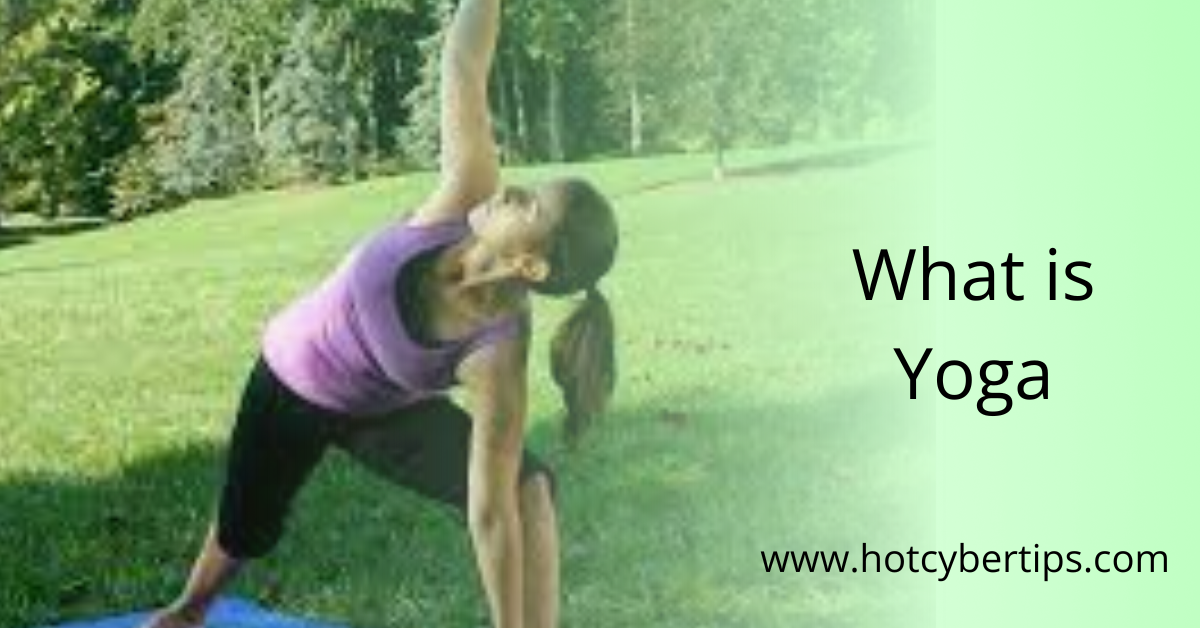 Read more about the article What is Yoga